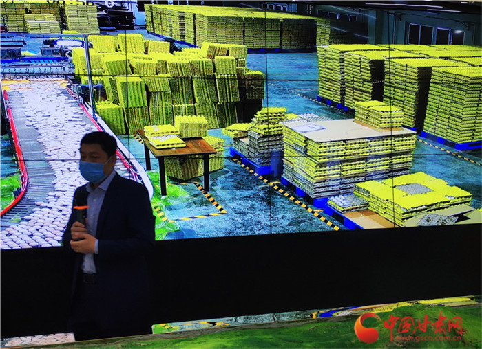 【甘肅省決戰(zhàn)決勝脫貧攻堅(jiān)】一人養(yǎng)十萬只雞 隴南宕昌金雞產(chǎn)業(yè)帶動1萬貧困人口分紅