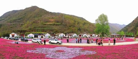 美麗隴南，風(fēng)景這邊獨(dú)好——隴南市推進(jìn)鄉(xiāng)村旅游高質(zhì)量發(fā)展綜述