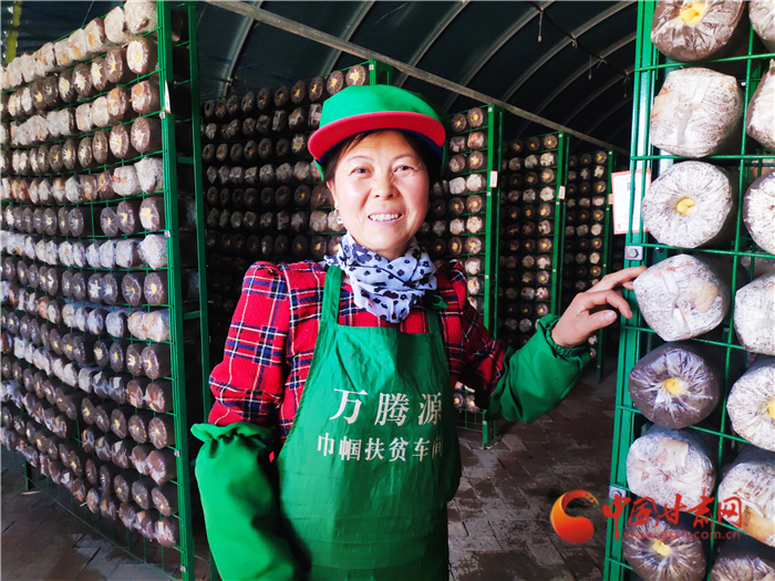 【甘肅省決戰(zhàn)決勝脫貧攻堅】防止脫貧再返貧 武威涼州區(qū)脫貧群眾聚集在產業(yè)鏈上持續(xù)增收