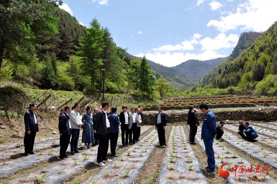 白龍江博峪河保護局開展產(chǎn)業(yè)發(fā)展、義務(wù)勞動成果現(xiàn)場觀摩交流活動