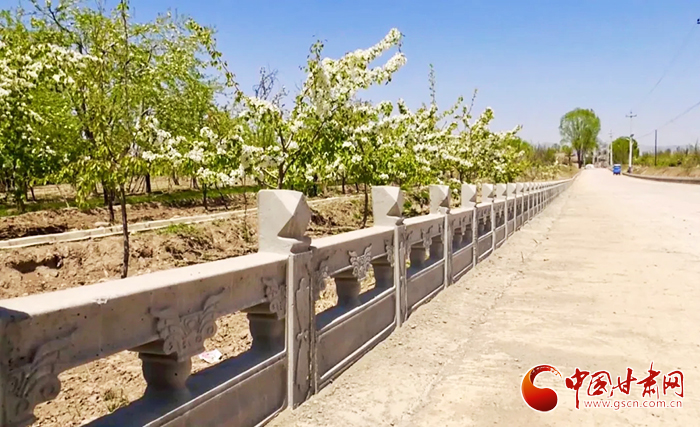 【甘肅省決戰(zhàn)決勝脫貧攻堅】臨夏縣新集鎮(zhèn)：扎實(shí)推進(jìn)棚戶區(qū)改造 切實(shí)改善人居環(huán)境（圖）