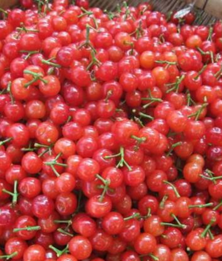 蘭州機(jī)場開設(shè)兩條農(nóng)產(chǎn)品綠色檢查通道