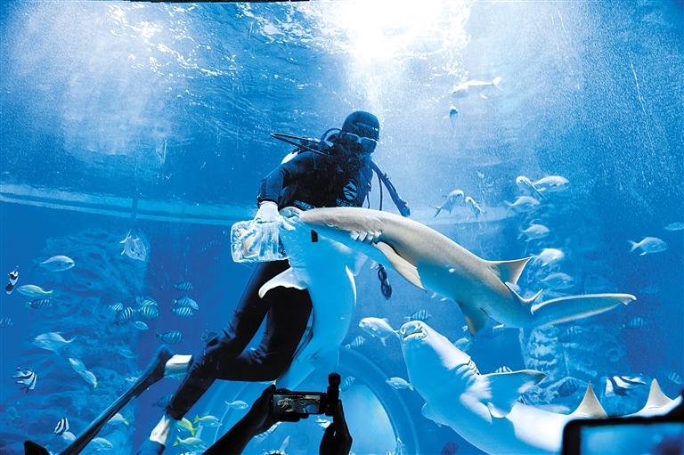 蘭州海洋公園 金昌火星1號(hào)基地 這個(gè)暑假我們“上天入?！?>
        </a><em>蘭州海洋公園 金昌火星1號(hào)基地 這個(gè)暑假我們“上天入?！?/em></li>
    <li><a  target=