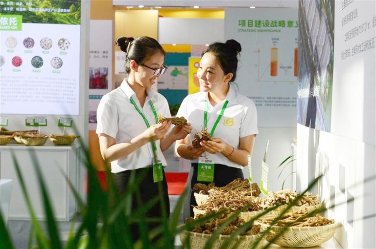 定西，從“千年藥鄉(xiāng)”邁向“中國(guó)藥都”