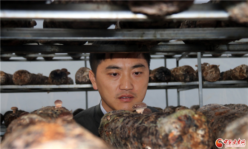 110年！何家溝村終于有了集體經濟——中建二局黨建結對幫扶成效顯著