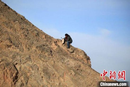 圖為敦煌“80后”畫家張杰龍在敦煌三危山里采集礦石顏料。(資料圖)受訪者供圖