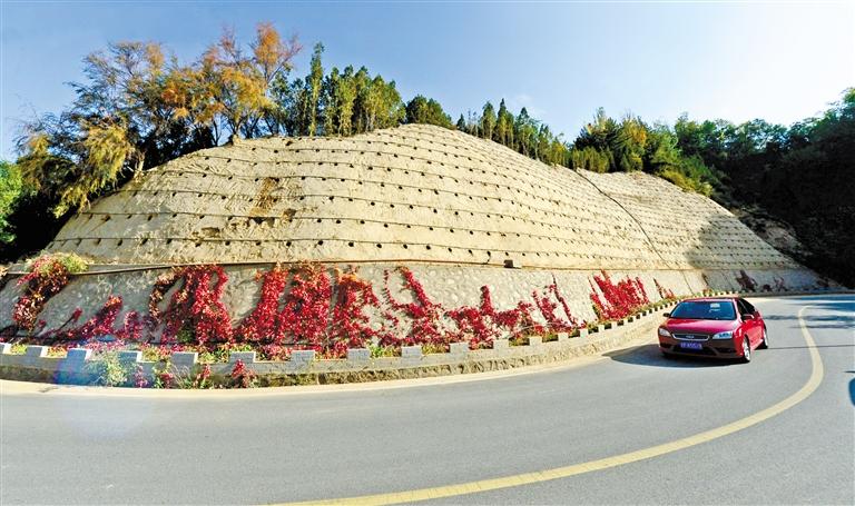 近90度陡坡上種樹！蘭州南北兩山綠化出新招