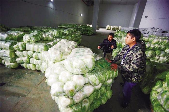 蘭州市已儲備1萬噸冬春蔬菜以耐貯存、易周轉(zhuǎn)品種為主