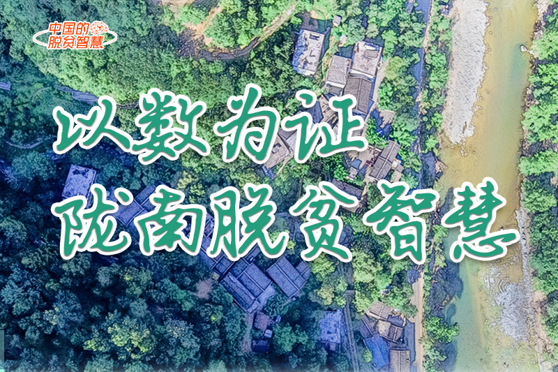 【中國(guó)的脫貧智慧】以數(shù)為證！隴南脫貧智慧來(lái)了！