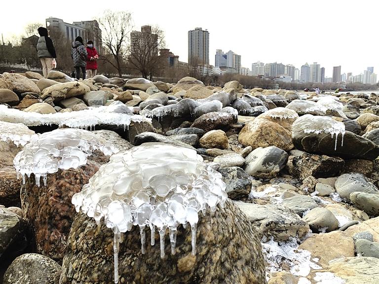 蘭州：水母上河灘？