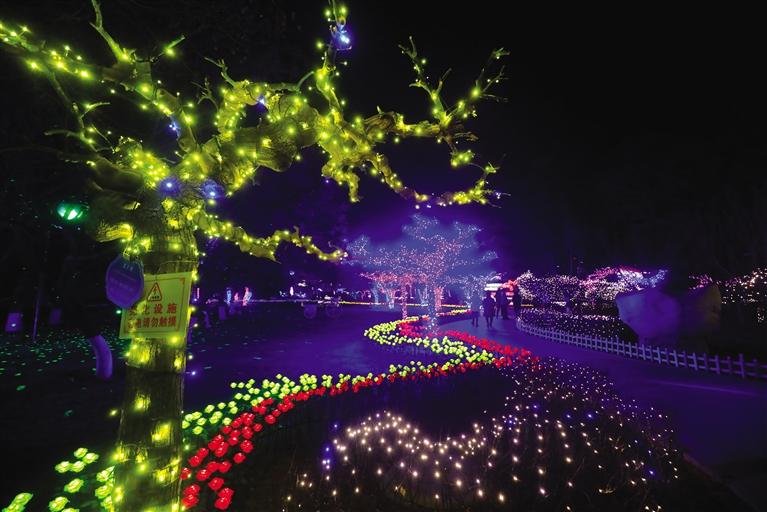 金城公園線(xiàn)下燈會(huì)昨晚開(kāi)啟迎元宵