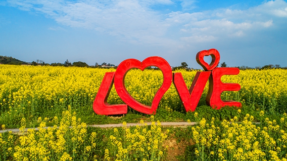 “l(fā)ove”創(chuàng)意拍照墻。廖濤 攝