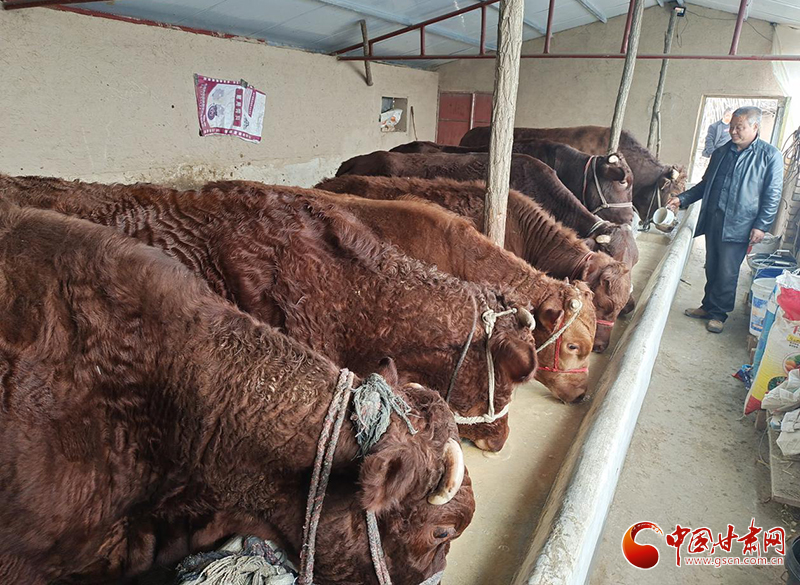 平?jīng)鰶艽ǎ骸芭！碑a(chǎn)業(yè)鋪就致富路