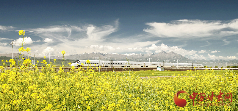 坐上火車(chē)“邂逅”春天，你可以這樣享“鐵路游”