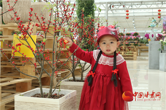 【鄉(xiāng)村振興看甘肅】蘭州新區(qū)：百花爭艷春光美 游客賞花正當(dāng)時