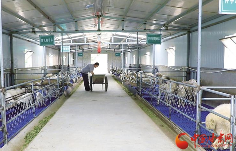 【小康之路 奮斗有我】懷一顆初心 擔一肩使命——記全國脫貧攻堅先進個人劉小兵