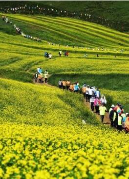 甘肅明確農(nóng)民進(jìn)城落戶:不以退出承包地、林地等為條件