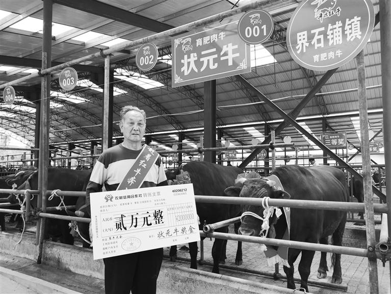 120頭“平?jīng)黾t?！膘o寧爭(zhēng)霸