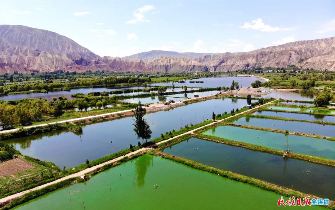 一秒入畫！太極島濕地風(fēng)光秀麗