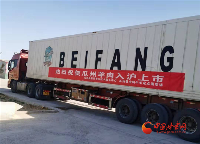 【小康圓夢(mèng)·看甘肅】酒泉市瓜州縣2.9萬(wàn)公斤羊肉遠(yuǎn)銷(xiāo)入滬