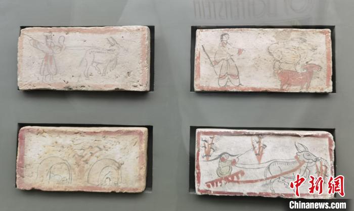 圖為嘉峪關(guān)長城博物館館藏文物魏晉墓彩繪畫像磚中豐富多彩的古代農(nóng)牧業(yè)生產(chǎn)活動。(資料圖) 丁思 攝