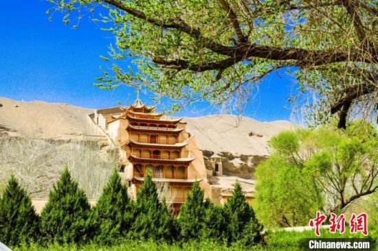 4月的敦煌莫高窟景區(qū)春意盎然。(資料圖) 王斌銀 攝