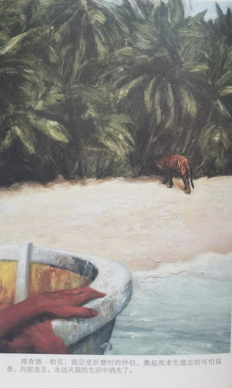 插圖3：揚(yáng)？馬特爾的小說《少年pi的奇幻漂流》插圖