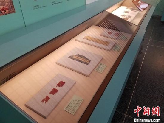 圖為展覽現(xiàn)場(chǎng)?！《鼗脱芯吭汗﹫D