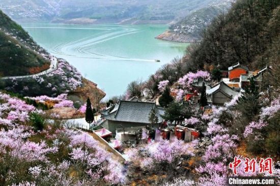 甘肅平?jīng)鍪惺侵袊鴥?yōu)秀旅游城市。圖為平?jīng)鲠轻忌较率锾一ㄊ㈤_。(資料圖) 平?jīng)鍪形麄鞑抗﹫D