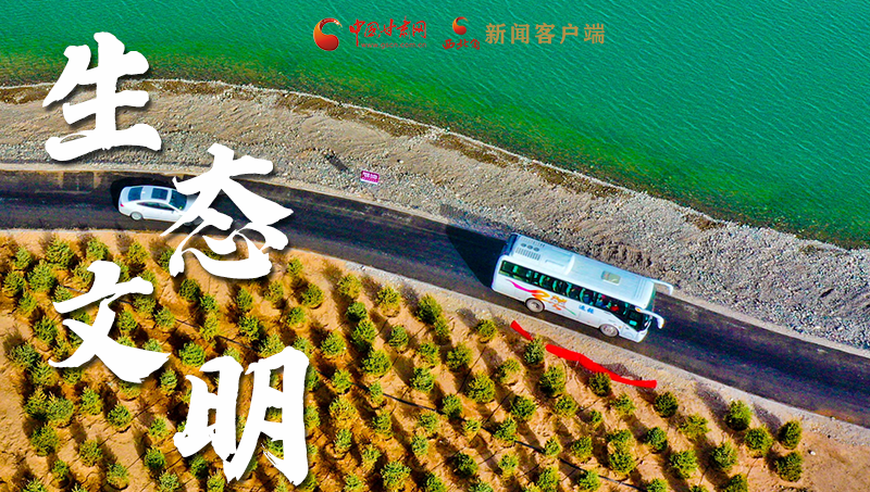 彈幕海報(bào)丨熱議甘肅省委十三屆十六次全會(huì) 網(wǎng)民聲音在回響!