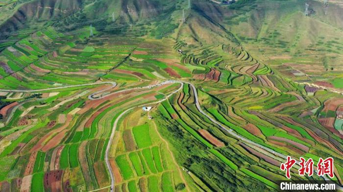 秋日里，榆中縣馬坡鄉(xiāng)千畝梯田，不同農(nóng)作物漸趨成熟，呈現(xiàn)出多種色彩，宛若大地的“調(diào)色盤”。　劉曉波 攝