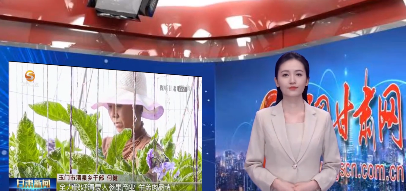 【AI小隴說·黨的二十大精神在基層】示范建設(shè)為引領(lǐng)，美麗鄉(xiāng)村畫中來