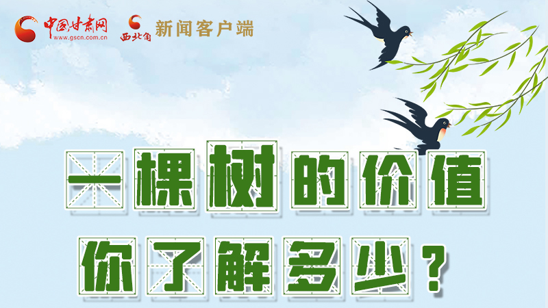 圖解|一棵樹的價值你了解多少?來看！