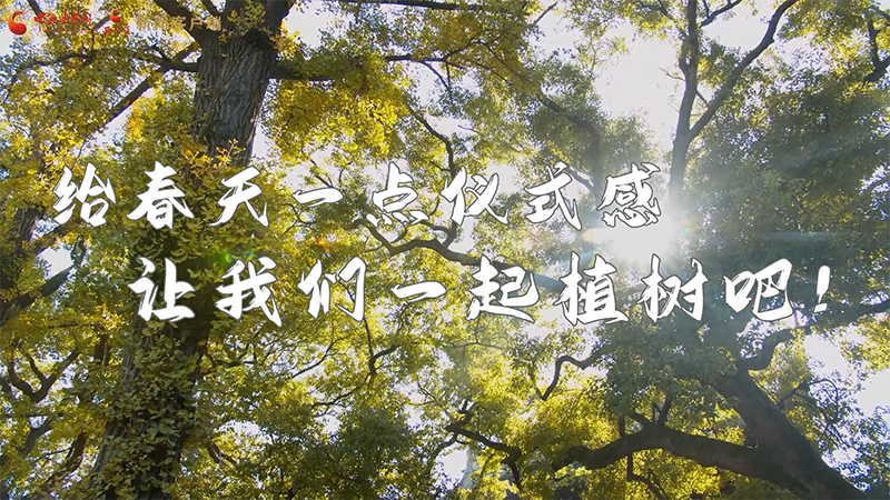 短視頻|給春天一點儀式感，讓我們一起植樹吧！