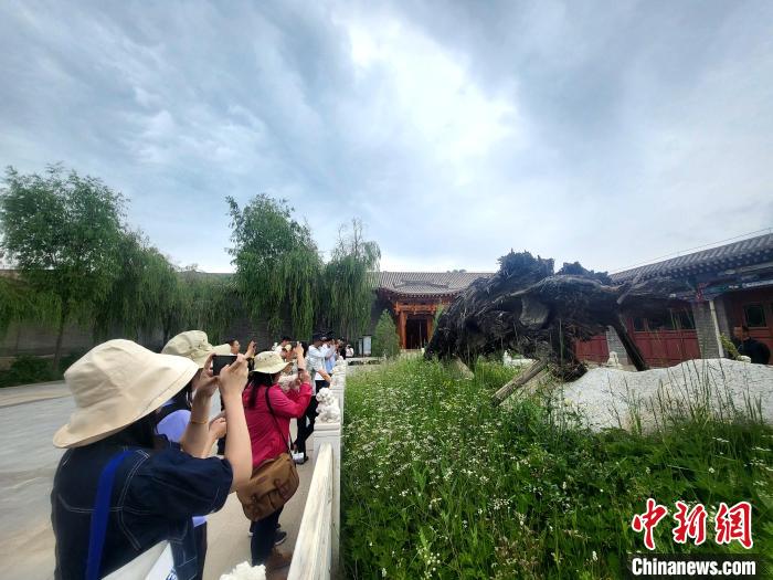 圖為媒體記者在青海永錄民俗參觀采訪?！⊙Φ?攝