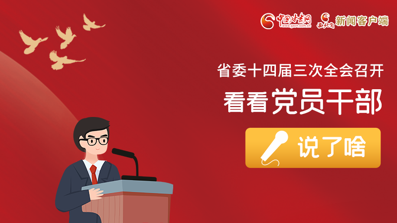 圖解|事關甘肅省委十四屆三次全會，黨員干部這么說！