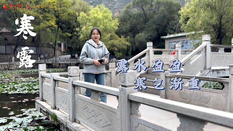 視頻|寒露:露水盈盈 寒氣漸重