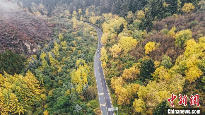 深秋，航拍位于蘭州市榆中縣的興隆山，景色如畫。金峯 攝</p>
<p>
