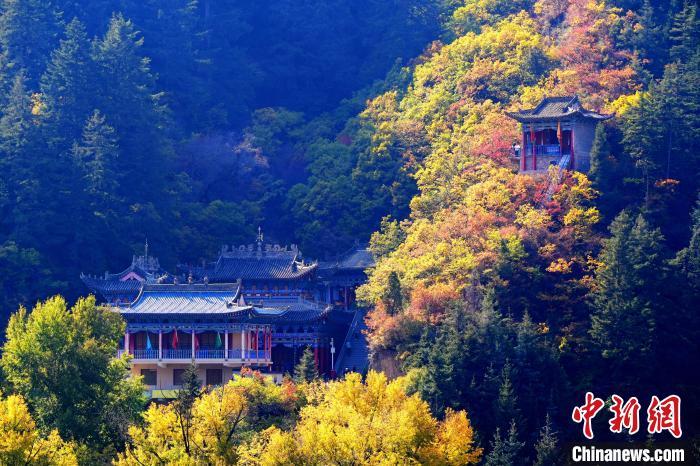 深秋，位于蘭州市榆中縣的興隆山景色如畫。宮衛(wèi)紅 攝