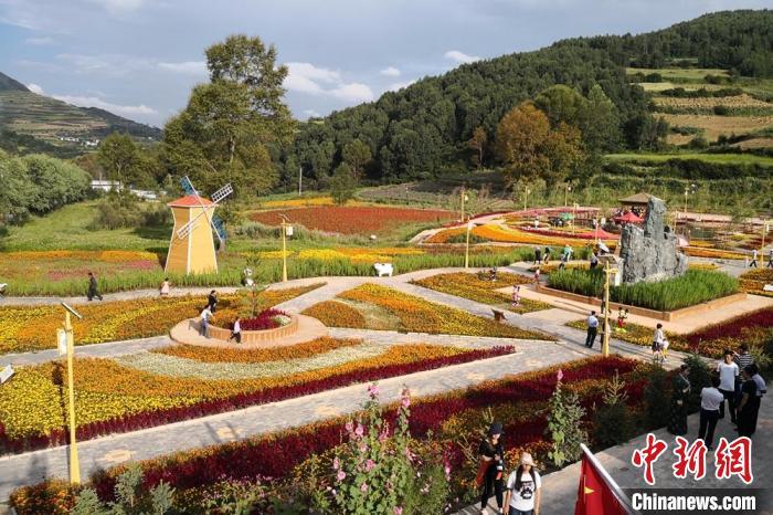 圖為航拍甘肅甘南臨潭縣八角鎮(zhèn)，花海吸引游人。(資料圖)高展 攝