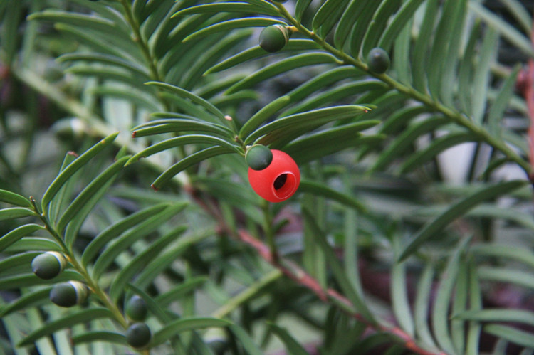 1703843456902171.jpg 1-3.jpg