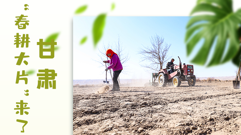 【甘快看】海報(bào)|瞧！甘肅“春耕大片”來了