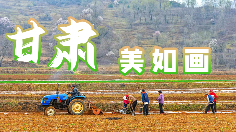 微海報(bào)|甘肅，美如畫