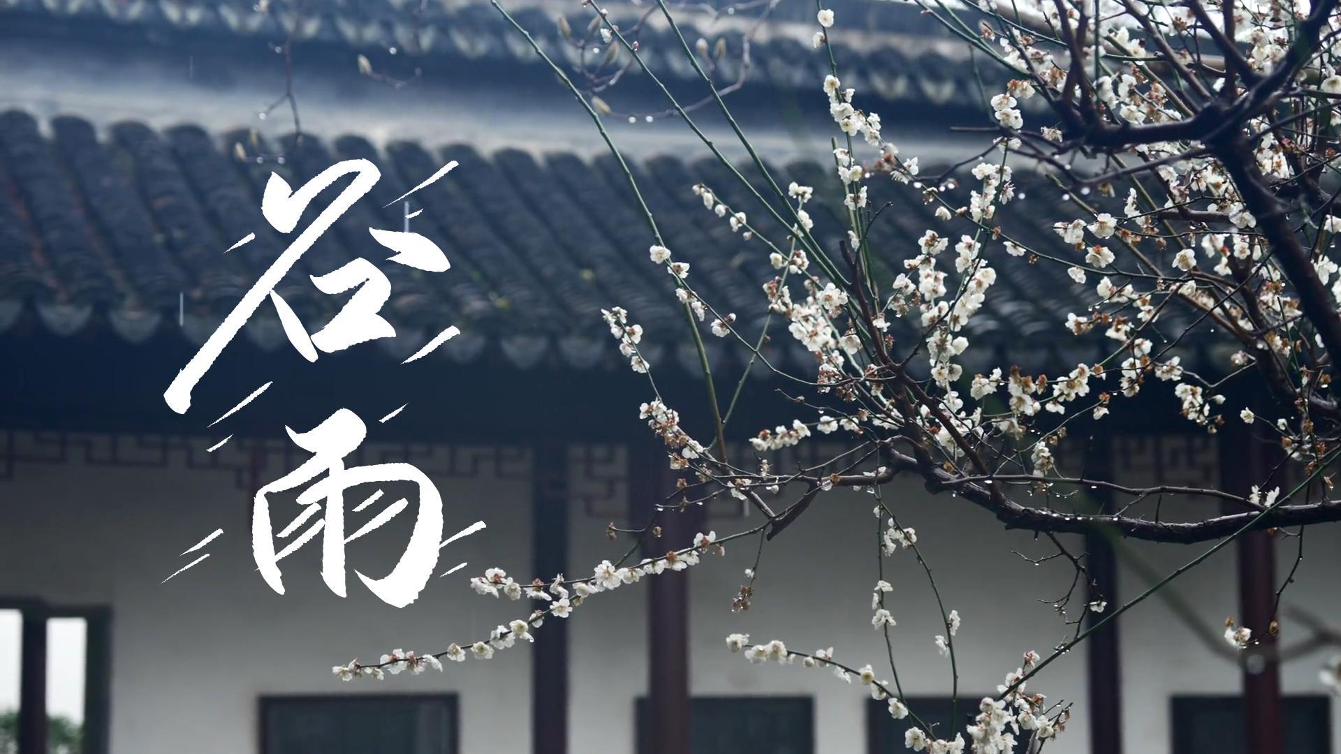 【節(jié)氣里的大美甘肅】谷雨，春天的最后一次回眸