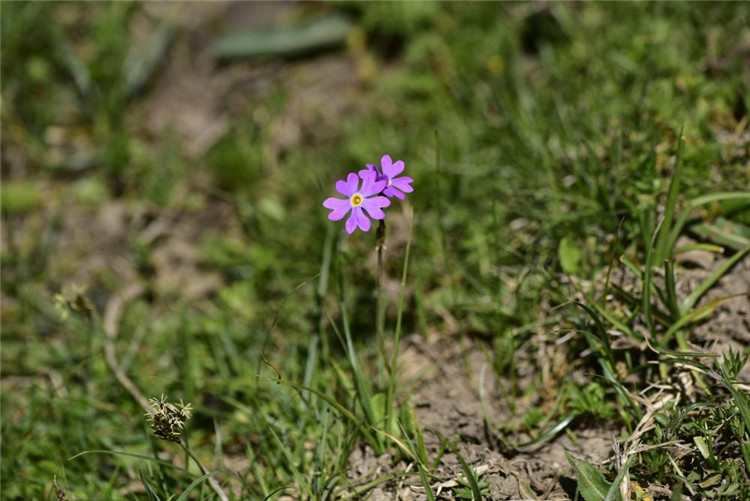 1714011909442827.jpg 26-2.jpg