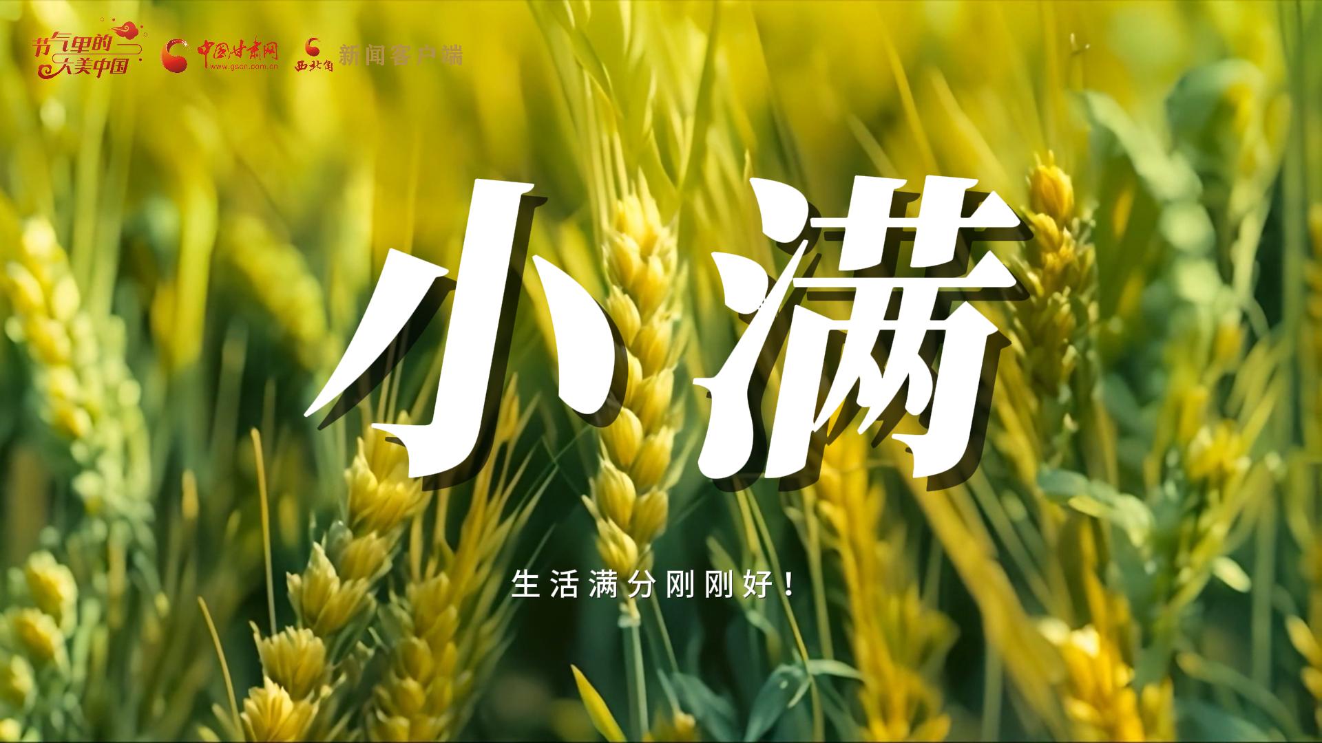 【節(jié)氣里的大美甘肅·小滿】生活滿分剛剛好！