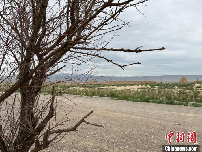 圖為位于長城墻體上的“馬面”或“敵臺”?！〈魑牟?攝