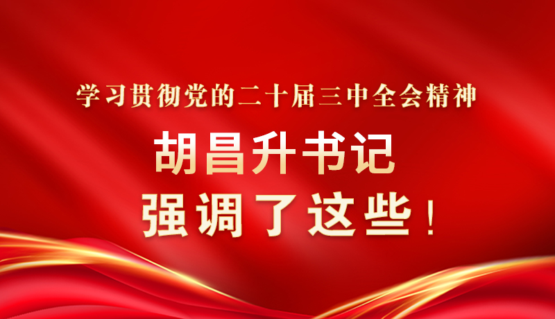 圖解|學習貫徹黨的二十屆三中全會精神 胡昌升書記強調(diào)了這些！