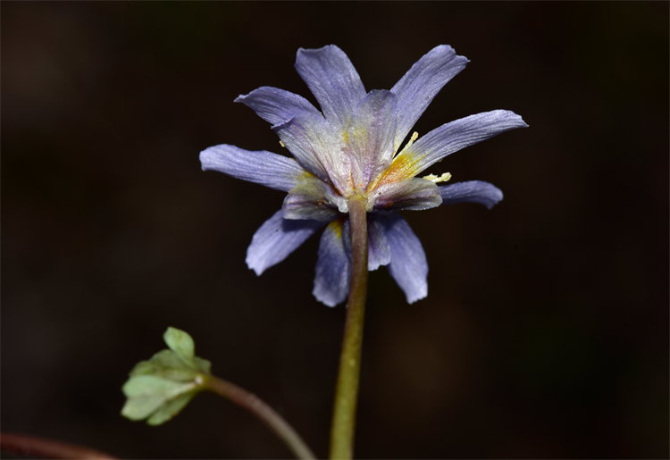 1725008119200567.png 2-2.png