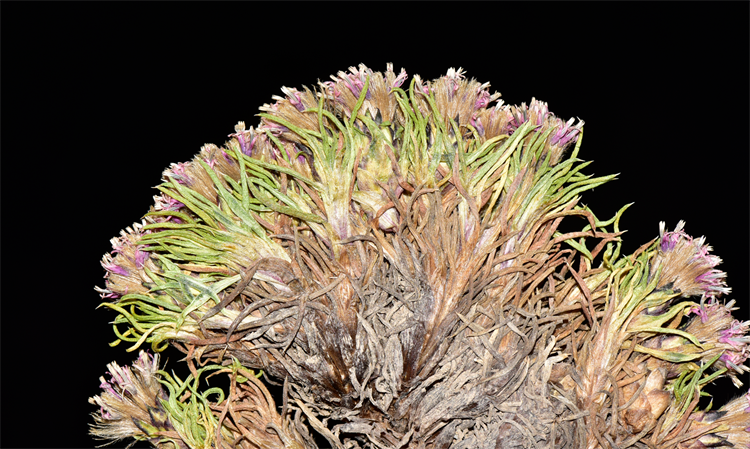 1732871428758852.png 26-2.png